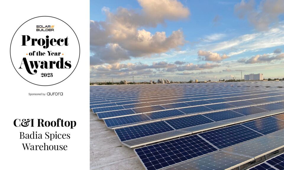 POY Graphics 2023!_10